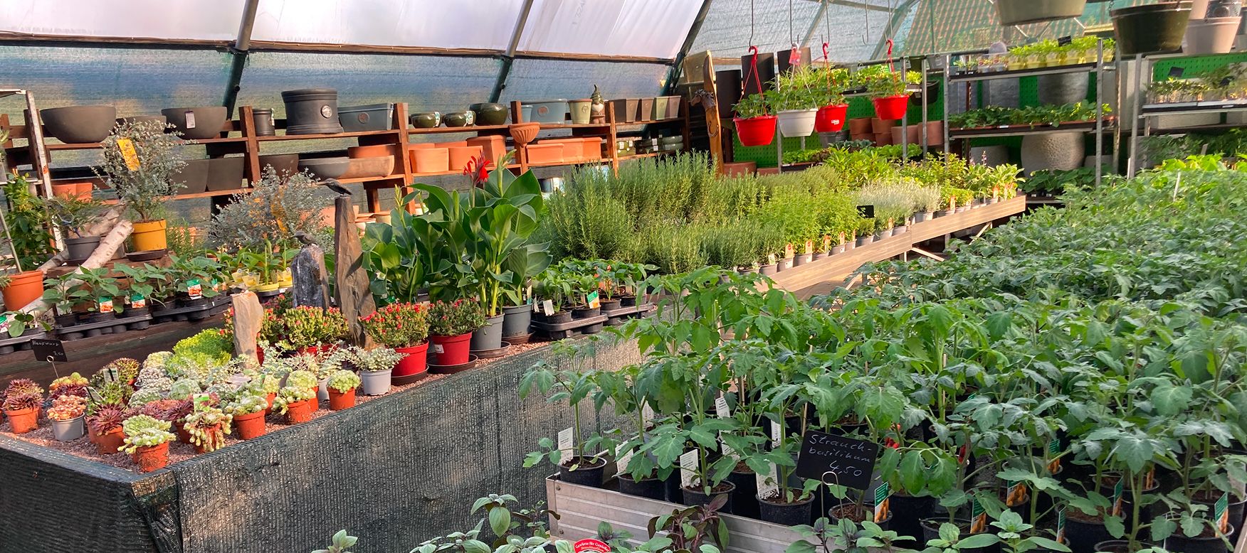 Verkaufsbereich von das Greune Ecke